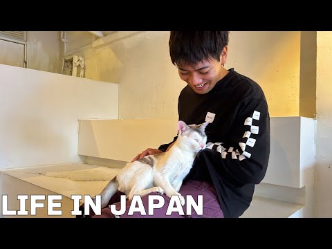Видео: [Влог] Повседневная жизнь в Японии 🇯🇵 Я зашёл в кошачье кафе и почувствовал себя расслабленным.