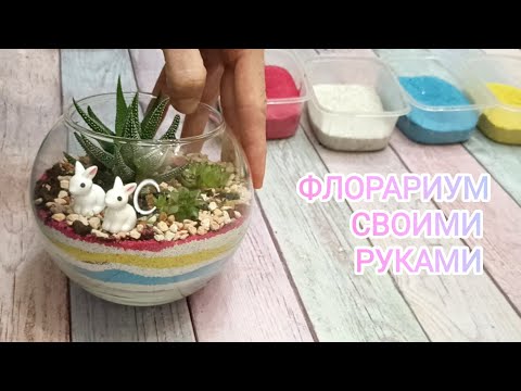 Видео: Как легко сделать флорариум с суккулентами