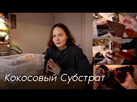 Видео: Кокосовый Субстрат | сравнение, промывка и буферизация