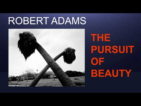 Видео: Роберт Адамс