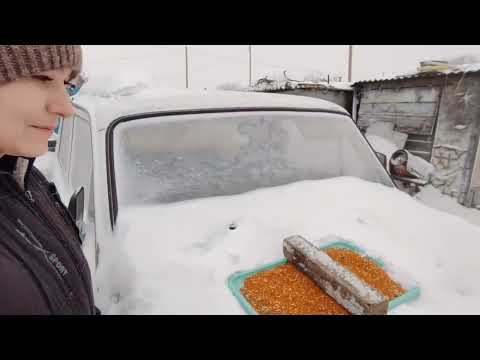 Видео: Готовлю сало в духовке 👍и выпекаю хлеб три в одном 🙂сколько снега навалило😲