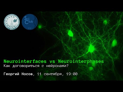 Видео: Neurointerfaces vs. Neurointerphases. Как договориться с нейронами?