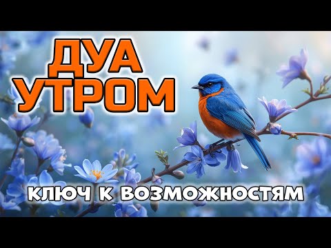 Видео: ДУА – ВАШ КЛЮЧ К НЕОЖИДАННОЙ ПРИБЫЛИ И ВОЗМОЖНОСТЯМ! 🤲🔑