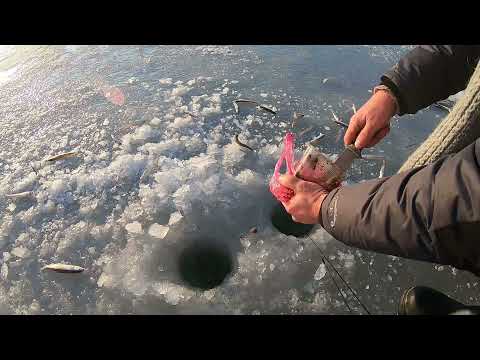 Видео: Рыбалка в бухте Полонка - Остров Русский - Владивосток