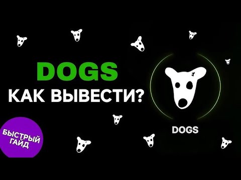 Видео: КАК ПОЛУЧИТЬ ДОГС? КАК ВЫВЕСТИ DOGS С ТЕЛЕГРАМ НА ТОНКИПЕР?