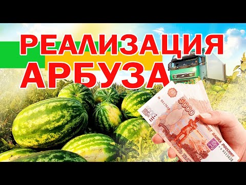 Видео: Реализация арбуза 🍉💶 20 08 21