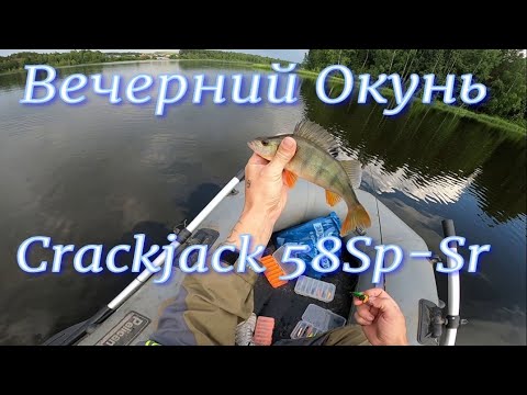 Видео: Вечерний Окунь на Озере  на Crackjack 58Sp Sr