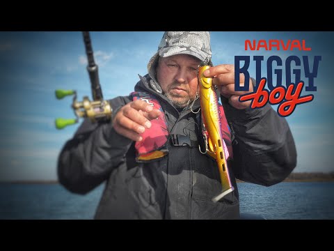 Видео: BIGGY BOY в деле! | Андрей Чуланов о новых приманках от Narval Fishing