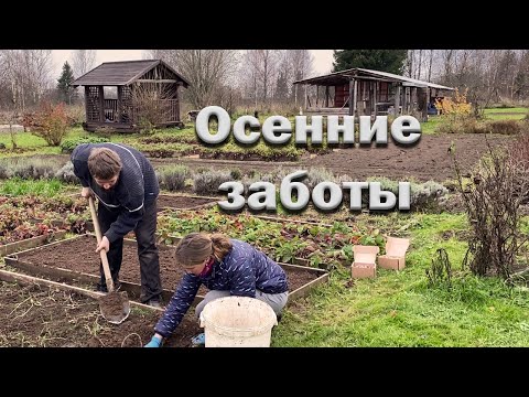 Видео: Хорь задушил всех кур// Осенние заботы// Калитки готовы