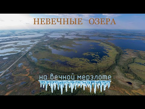 Видео: Невечные озёра на "вечной" мерзлоте