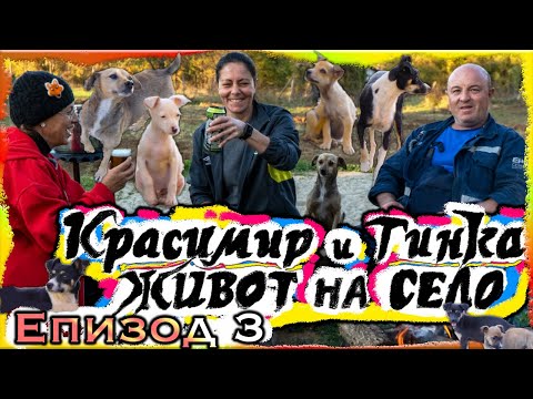 Видео: ЖИВОТ НА СЕЛО - КРАСИМИР и ТИНКА - Епизод 3 | Ферма Монсър