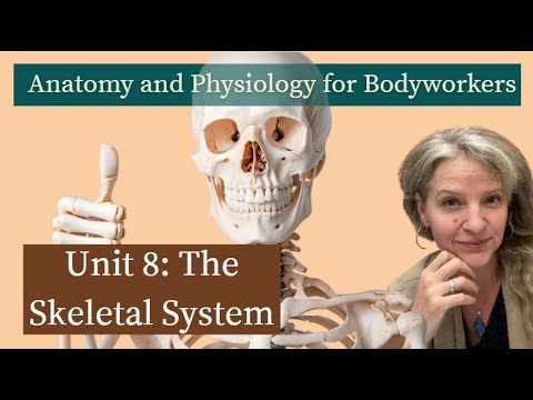 Видео: Модуль 8: Костная система | MBLEx Prep
