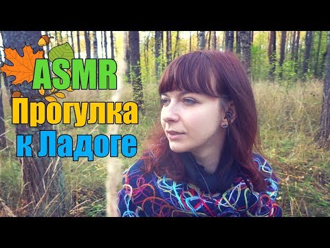 Видео: АСМР ASMR Прогулка по лесу до залива🌲🍂🌥Шепот Звуки природы Вода, шорох листьев Russian Whisper