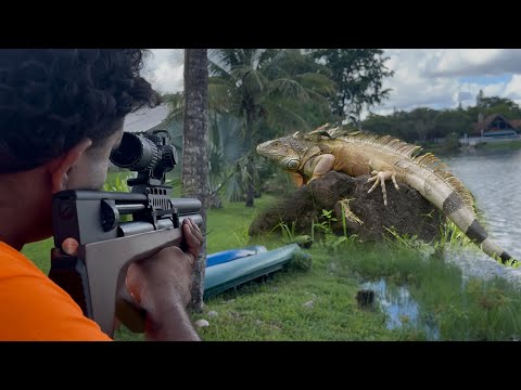 Видео: Пневматическая винтовка Pinty Bullpup PCP калибра .22Cal с 9 пулями. Высокомощная для охоты на ме...