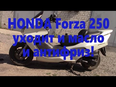 Видео: HONDA Forza 250 ремонт