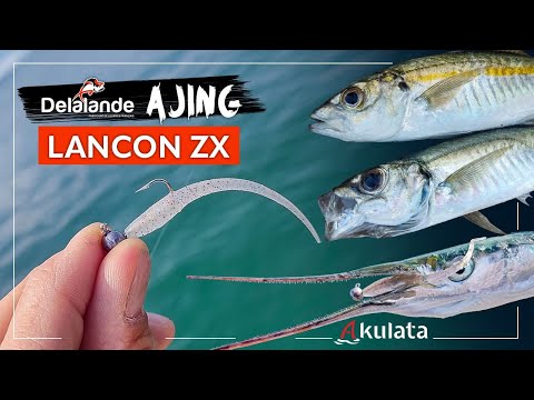 Видео: Риболов на кокали в Гърция. Ajing с нова примамка