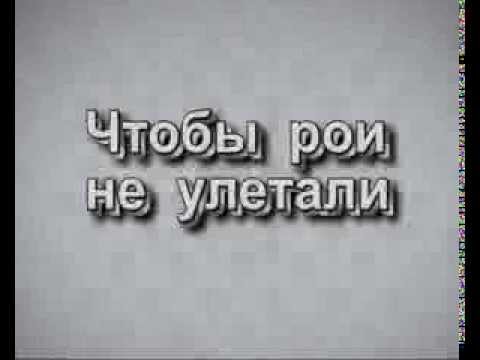 Видео: Чтобы рои не улетали