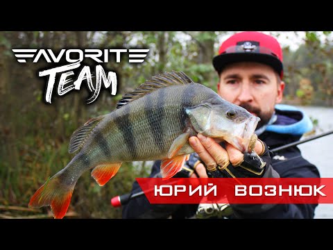 Видео: Ловля ТРОФЕЙНОГО ОКУНЯ на лесном озере. Favorite Team