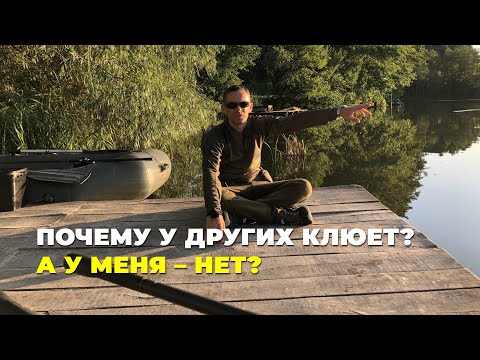 Видео: НА ЧТО ЛОВИТЬ КАРПОВ И, ЧТО ВАЖНЕЕ, КОРМ ИЛИ НАСАДКА?