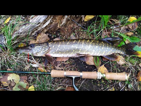 Видео: #275 | Микро джиг | SMITH FIELDREAM FLDP 60, 5 pcs. |