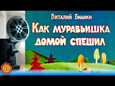 Видео: Как муравьишка домой спешил