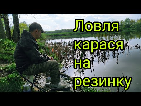 Видео: Ловля карася на резинку! Лучшая снасть для ловли карася!