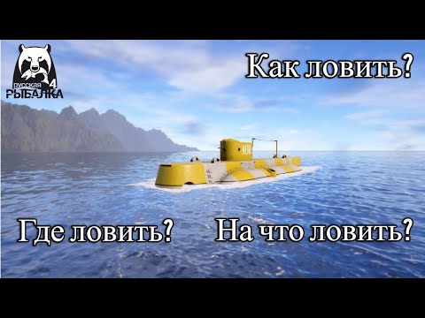 Видео: Где ловить? Как ловить? На что ловить? | Новичку на Норвежском море • Русская рыбалка 4
