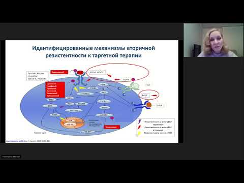 Видео: Таргетная терапия распространенного рака почки, резистентного к антиангиогенному лечению