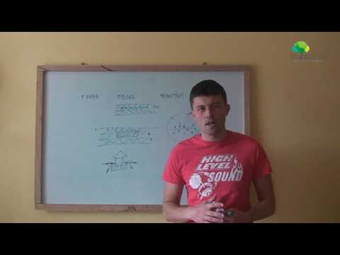 Видео: Песчаная подушка.  Часть 2. Замена пучинистого основания на песок...