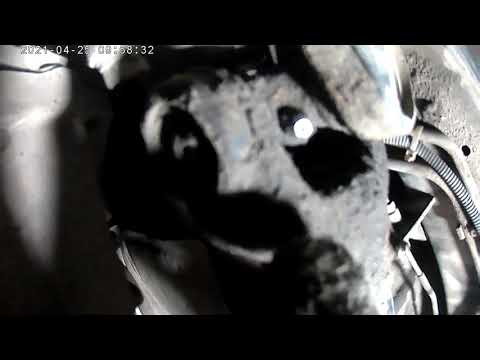 Видео: Шприцовка карданов SsangYong Kyron