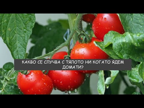Видео: Какво се случва с тялото ни когато ядем домати?