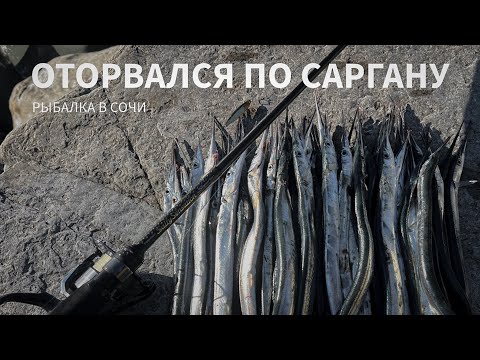Видео: Сарган на пилькеры и стики. Лучшая морская рыбалка 2024!