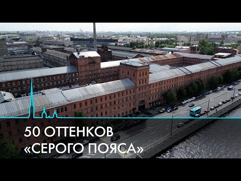 Видео: Серый пояс Санкт-Петербурга. Как и для чего его сохранять?