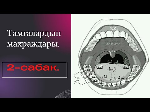 Видео: 2-САБАК. Тамгалардын махраждары. Махраж деген тамгалардын чыга турган жайы.