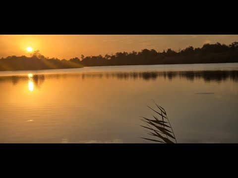Видео: Рыбалка на Карьере ! ВОБЛЫ ТОЛЬКО ВЫБРАСЫВАЙ!