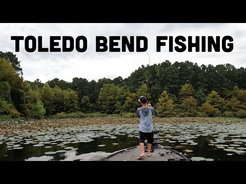 Видео: Рыбалка после полудня на излучине Толедо