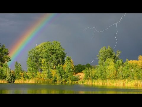 Видео: Маятник состояний