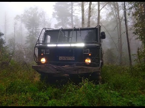 Видео: Ореховая лихорадка, продолжение. Рев изюбря, немного теории!