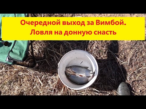 Видео: Очередной выход за неУловимой Вимбой на реку Гауя. Ловля на донную снасть. Vimbu cope Gaujā.