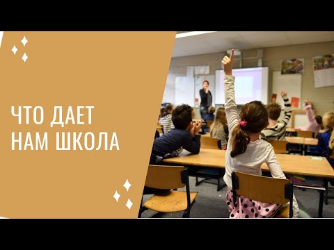 Видео: А чему учат в школе. Что я думаю о наших школах.