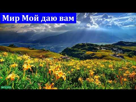 Видео: "Мир Мой даю вам". И. Маркевич. МСЦ ЕХБ.