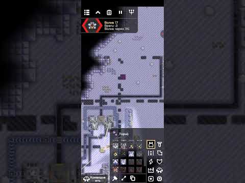 Видео: 4 октября 2025 г.