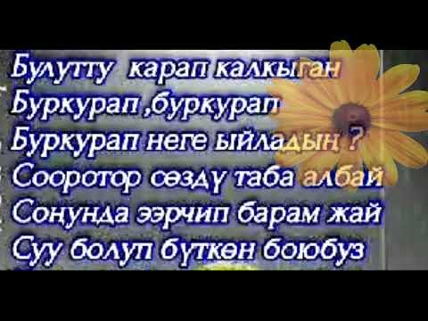 Видео: ыр десте