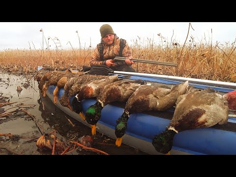 Видео: КУПИЛ РУЖЬЁ У ДЕДА, что из этого вышло? ТАК МНОГО УТКИ, САДЯТСЯ НА ГОЛОВУ! ОХОТА НА УТКУ с чучелами