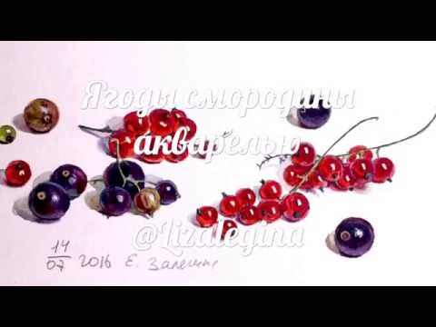 Видео: Как нарисовать ягоды смородины акварелью