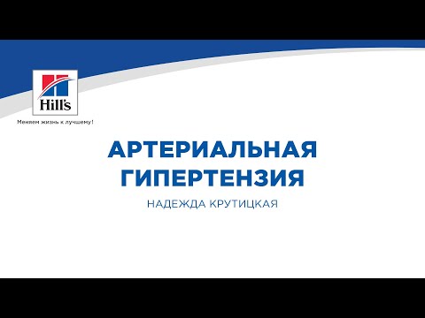 Видео: Вебинар №6 школы НЕФРОУРОВЕТ: "Артериальная гипертензия". Лектор - Надежда Крутицкая.