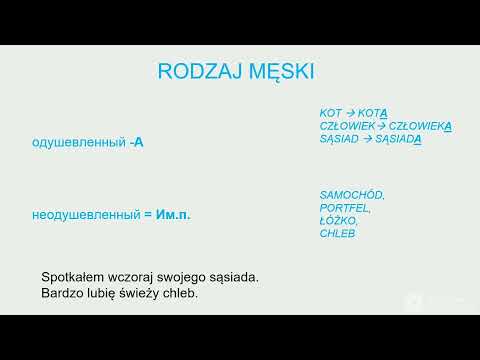 Видео: Польский с Полькой Урок№1 Винительный падеж