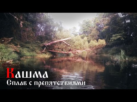 Видео: Сплав по реке Кашма, по малой реке через завалы