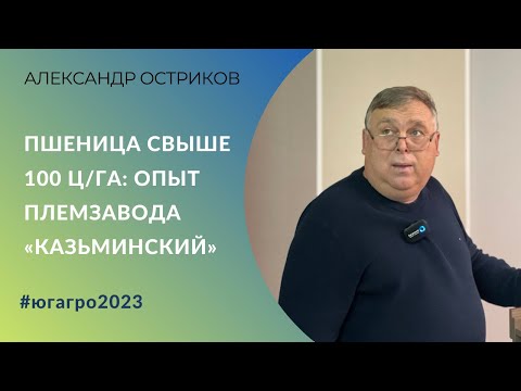 Видео: Пшеница свыше 100 ц/га: опыт СПК племзавода «Казьминский» (Ставропольский край)