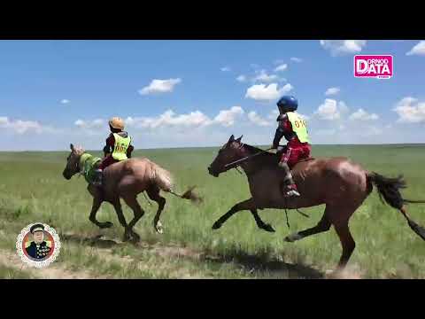 Видео: Маршал Х.Чойбалсан 130 жил: Хязаалангийн уралдаан